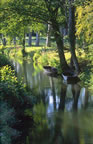 Creek near Coulon, Marais-Poitevin, Deux-Sèvres. (113kb)